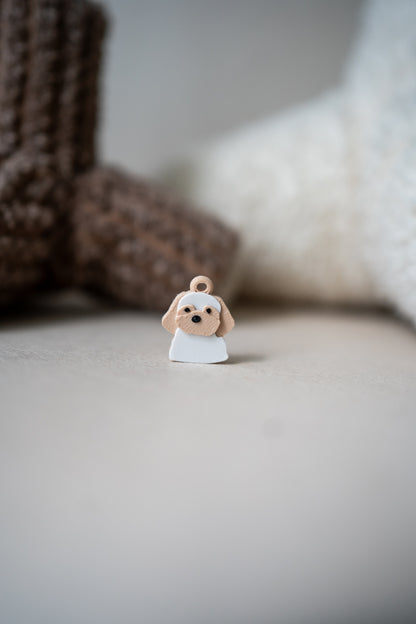 Prosopa | Cavachon