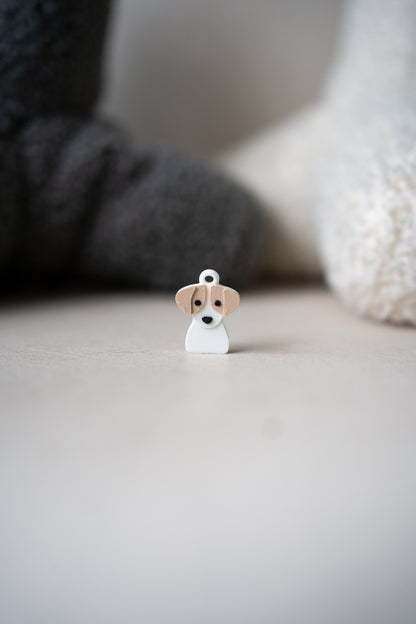 Anjing Prosopa | Anjing Jack Russell Terrier