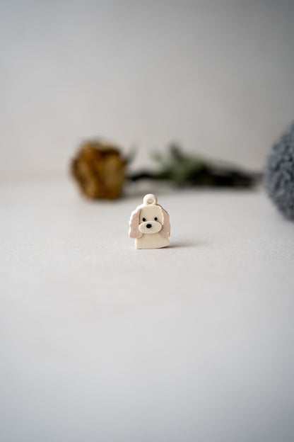 Prosopa | Campuran Anjing Cocker Spaniel