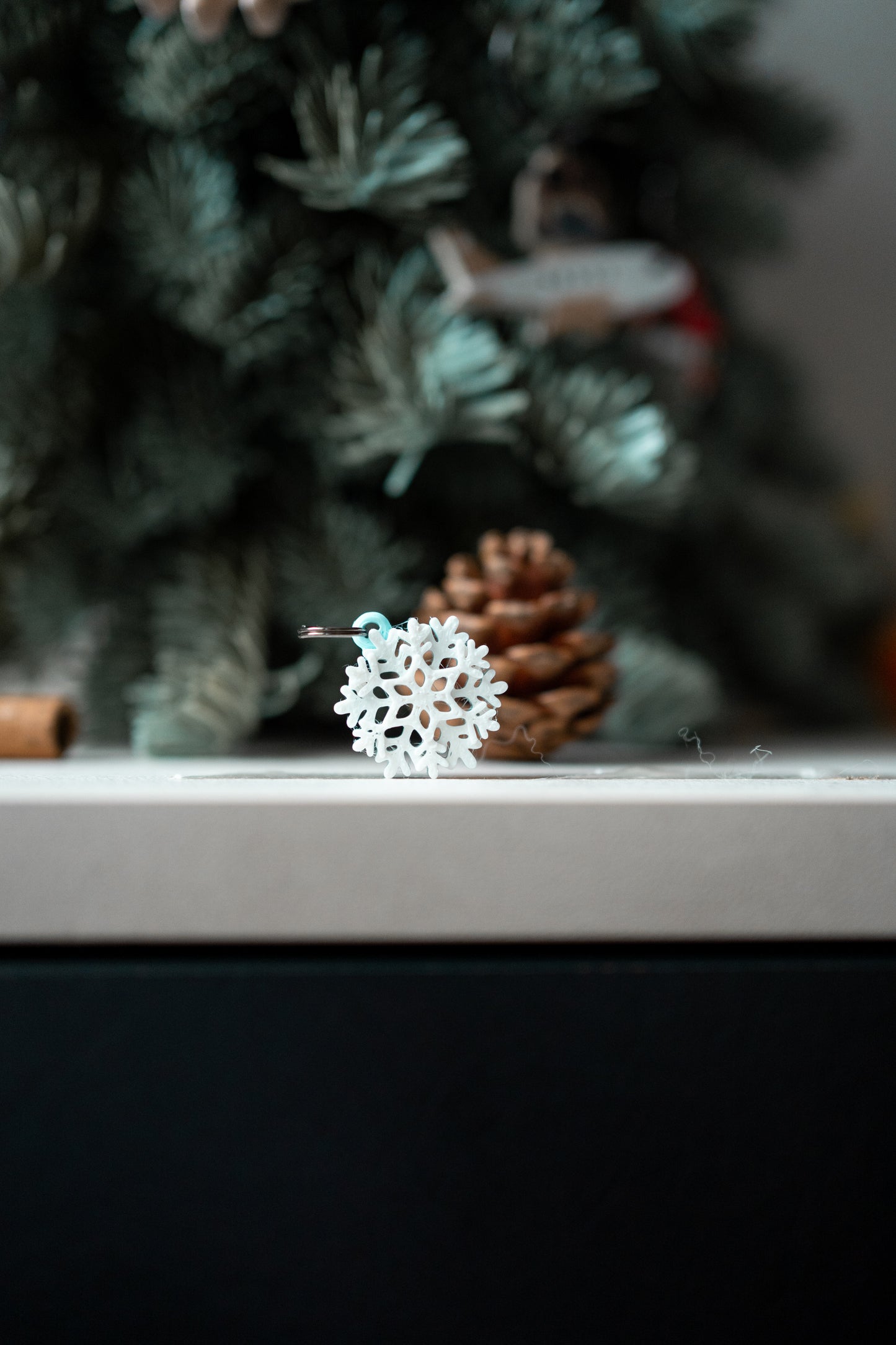 普罗索帕 |比熊