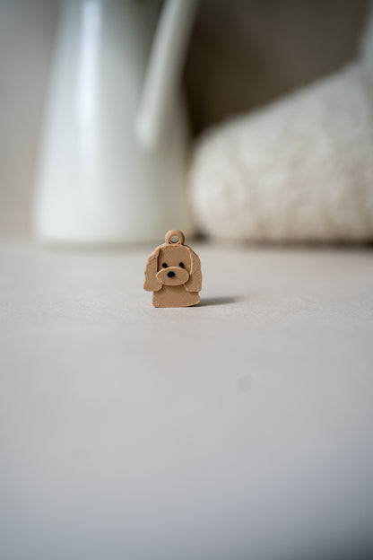 Prosopa | Campuran Anjing Cocker Spaniel