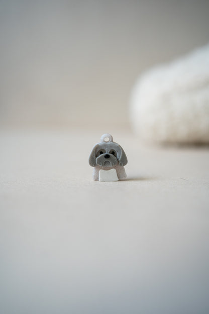 Prosopa | Lhasa Apso