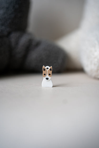 Anjing Prosopa | Anjing Jack Russell Terrier