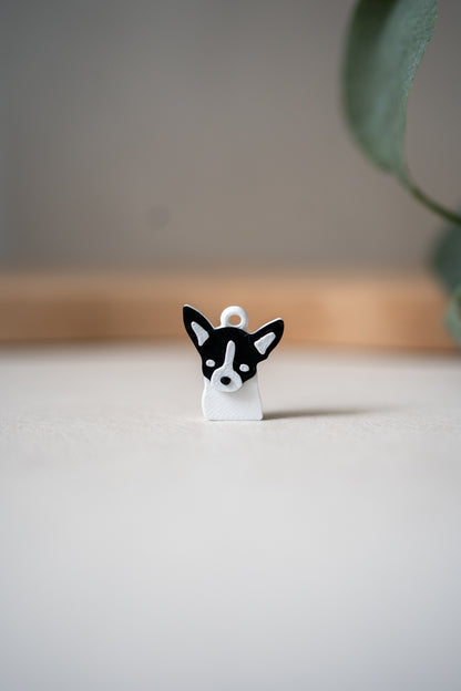 Prosopa | Chihuahua