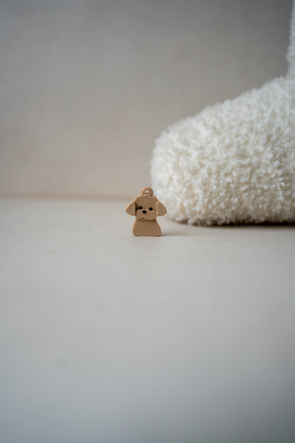 Prosopa | Maltipoo