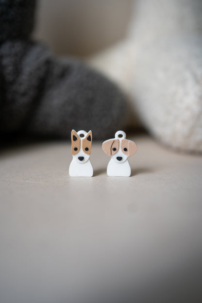Anjing Prosopa | Anjing Jack Russell Terrier