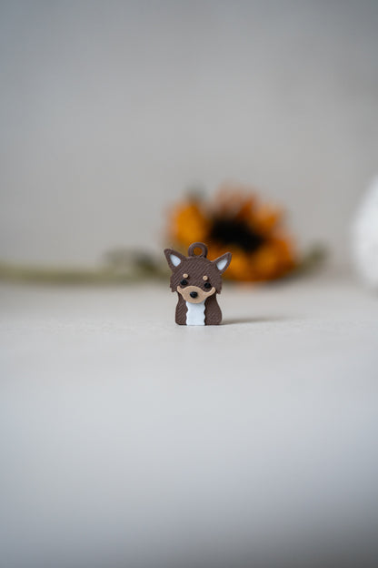 Prosopa | Chihuahua