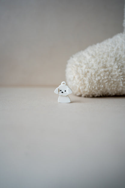 Prosopa | Maltipoo
