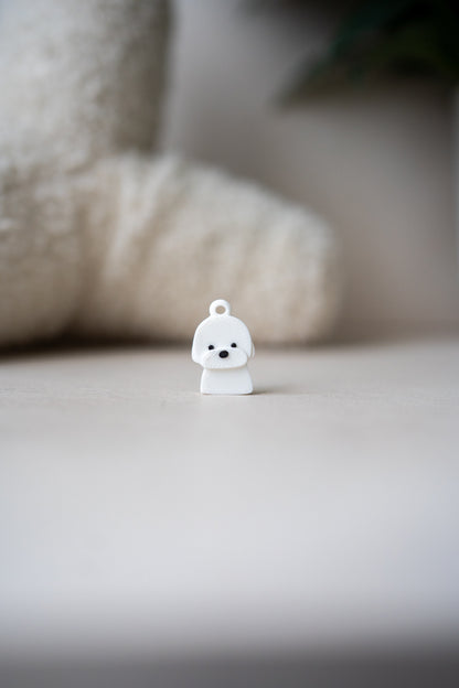 Prosopa | Coton de Tulear