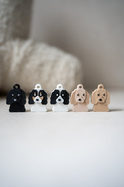 Prosopa | Campuran Cocker Spaniel &amp; Campuran Cocker Spaniel