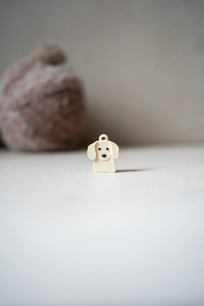 Prosopa | Dachshund