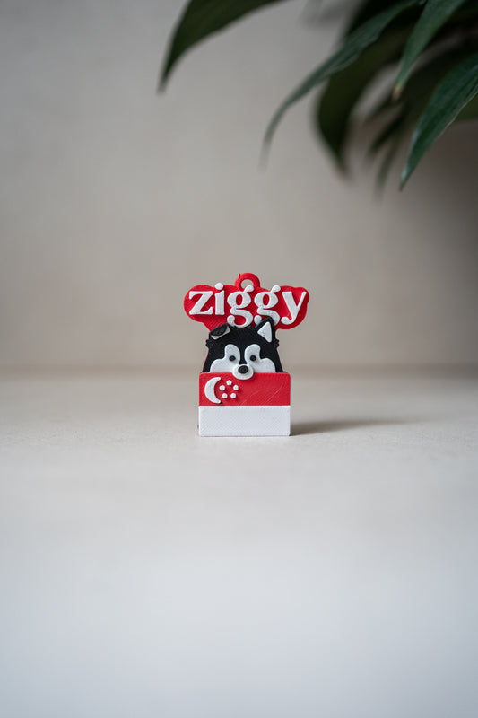 Singapore Flag X Prosopa | Name Tag