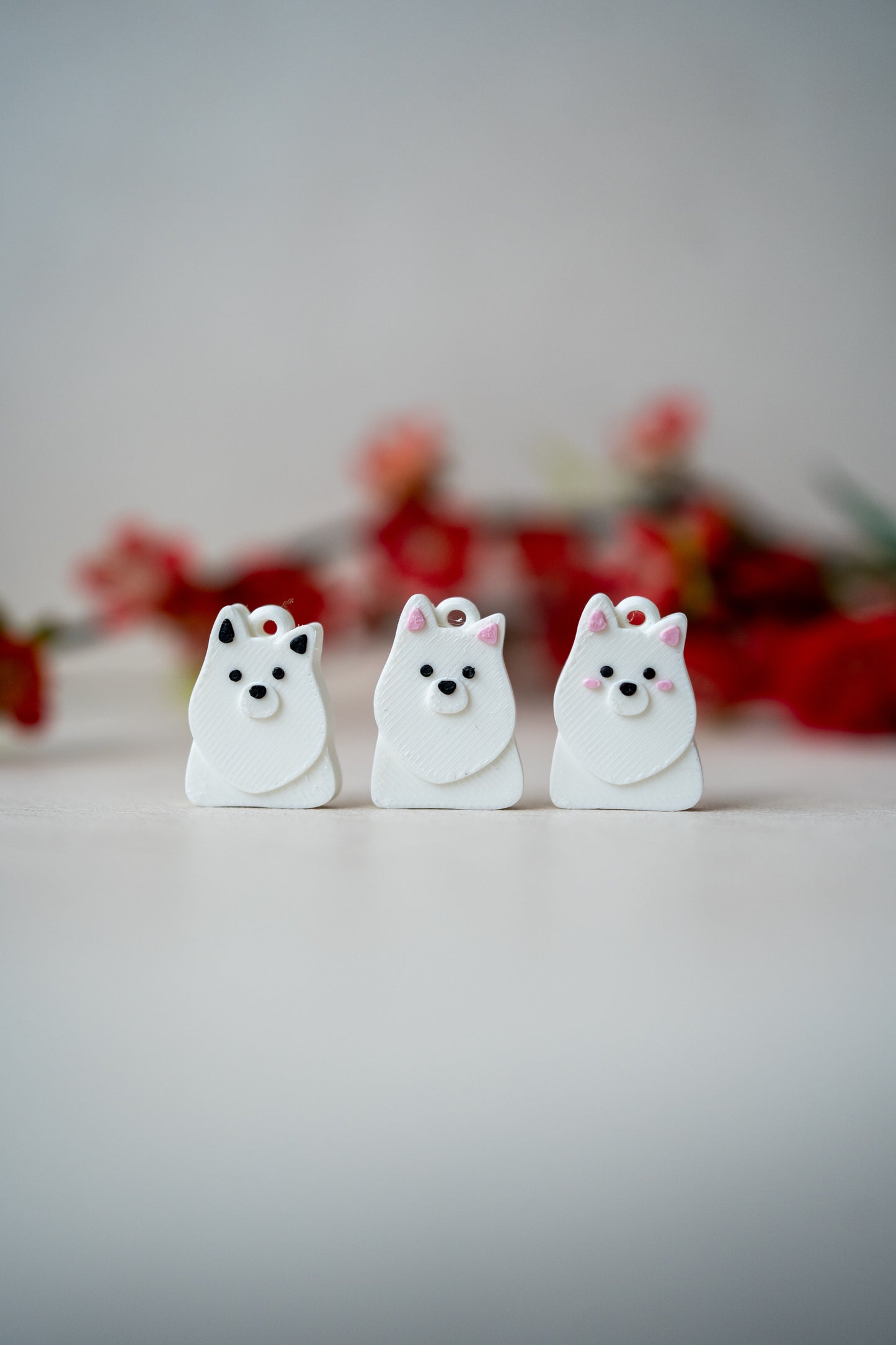 Prosopa | Japanese Spitz & Samoyed