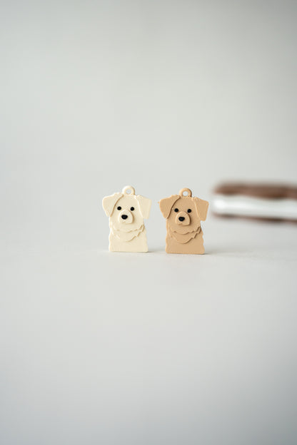 Prosopa | Golden Retriever (Goldie)