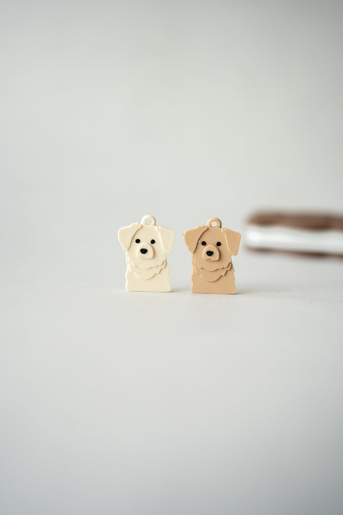 Prosopa | Golden Retriever (Goldie)