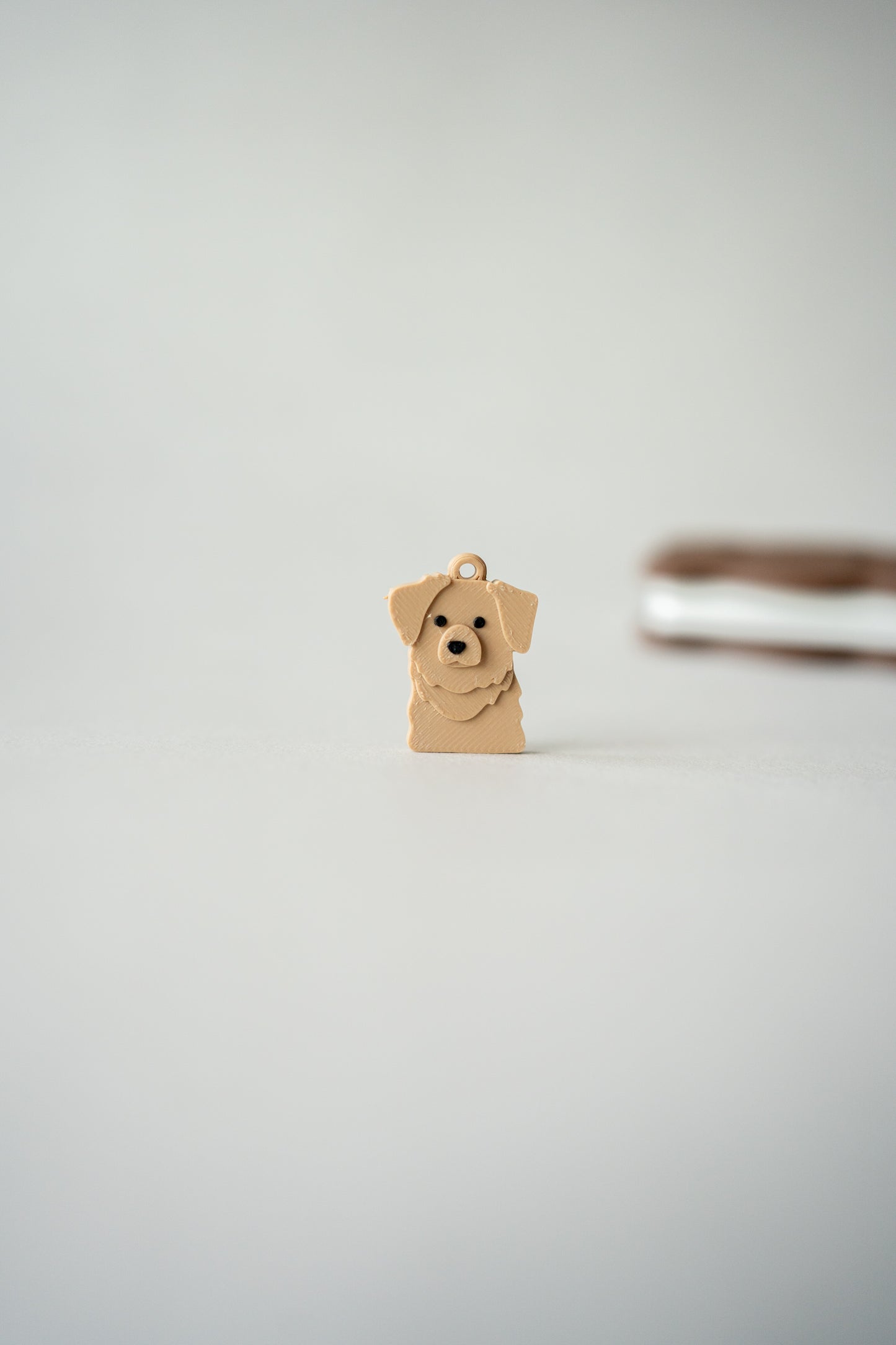 Prosopa | Golden Retriever (Goldie)
