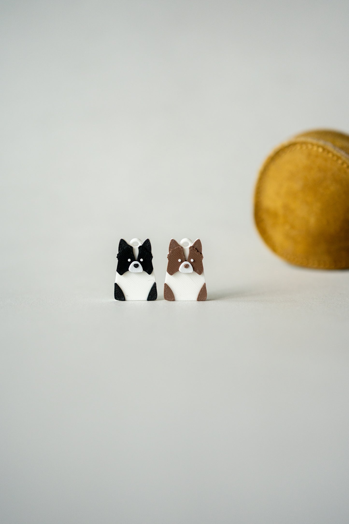 Prosopa | collie perbatasan