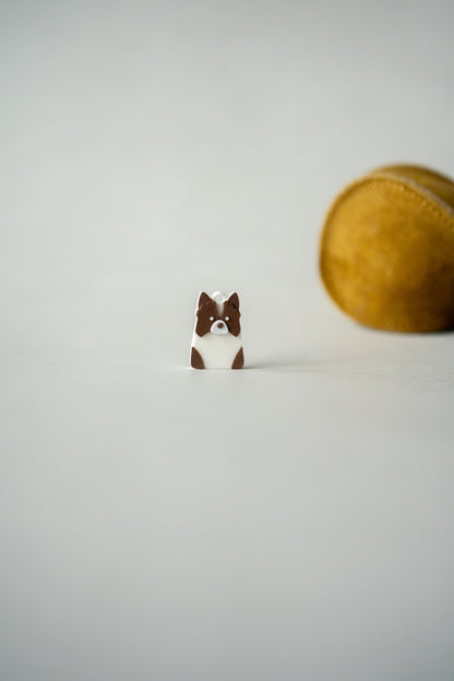 Prosopa | collie perbatasan