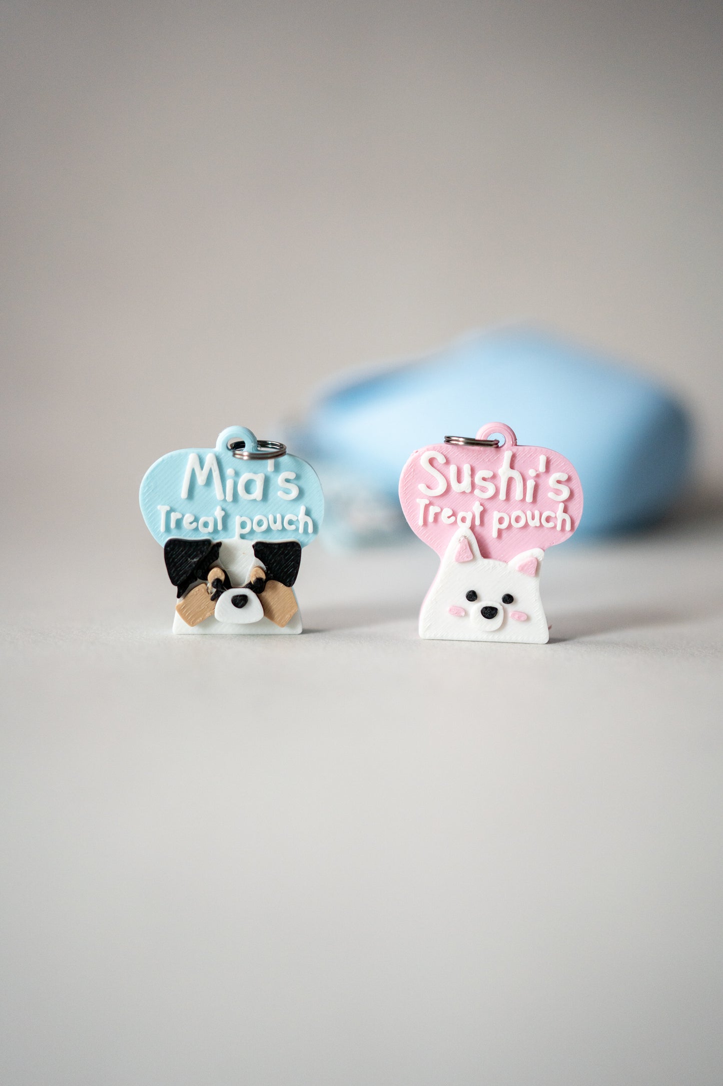 Treat Pouch X Prosopa | Name Tag (NEW)