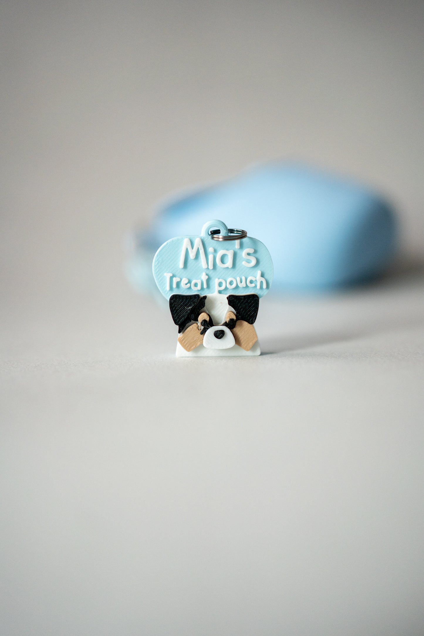 Treat Pouch X Prosopa | Name Tag (NEW)