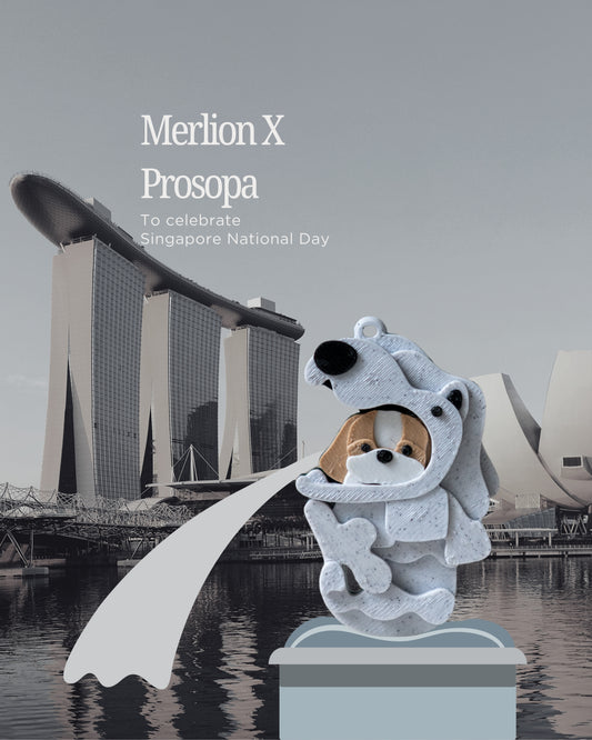 Natal X Prosopa | Label Nama