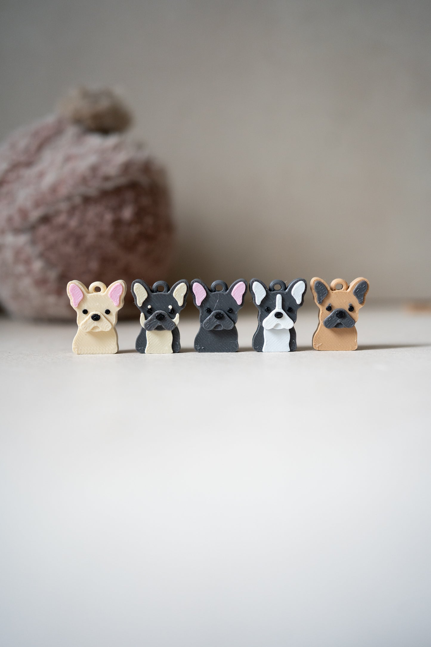 Prosopa | Bulldog Prancis (Frenchie)