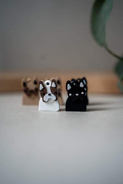 Prosopa | Bulldog Prancis (Frenchie)
